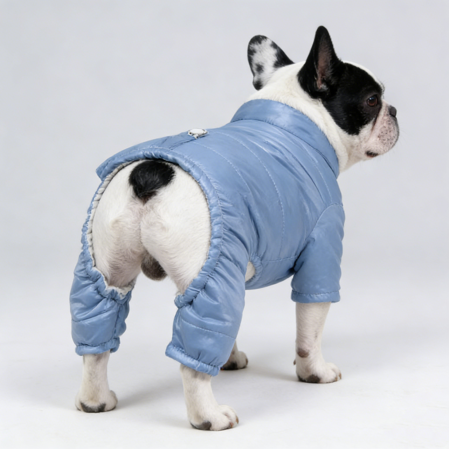 French Bulldog Winter High-Neck Waterproof Puffer Jacket, 100% Natural Cotton-Padded Coat