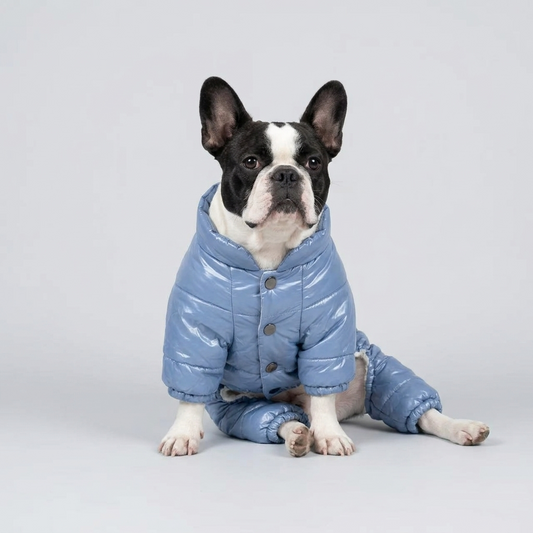 French Bulldog Winter High-Neck Waterproof Puffer Jacket, 100% Natural Cotton-Padded Coat
