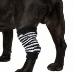 Pet Warm Knee Support Socks - Zebra Rhythm