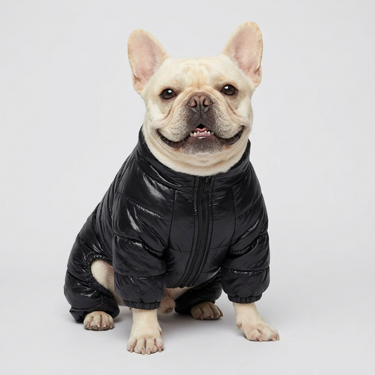 French Bulldog Winter High-Neck Waterproof Puffer Jacket, 100% Natural Cotton-Padded Coat
