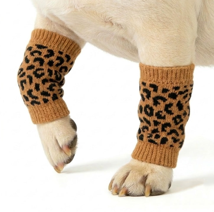 This close-up photograph captures the lower body and front legs of a cream-colored, short-haired dog standing against a clean, solid white background. Both front legs are fitted with brown knitted leg warmers featuring a black leopard print pattern. One front paw, with visible nails and pads, is slightly raised and curled in the air, while the other paw is planted firmly on the floor. The dog's underbelly and hindquarters are partially visible at the top of the frame. The leg warmers are made of a textured 