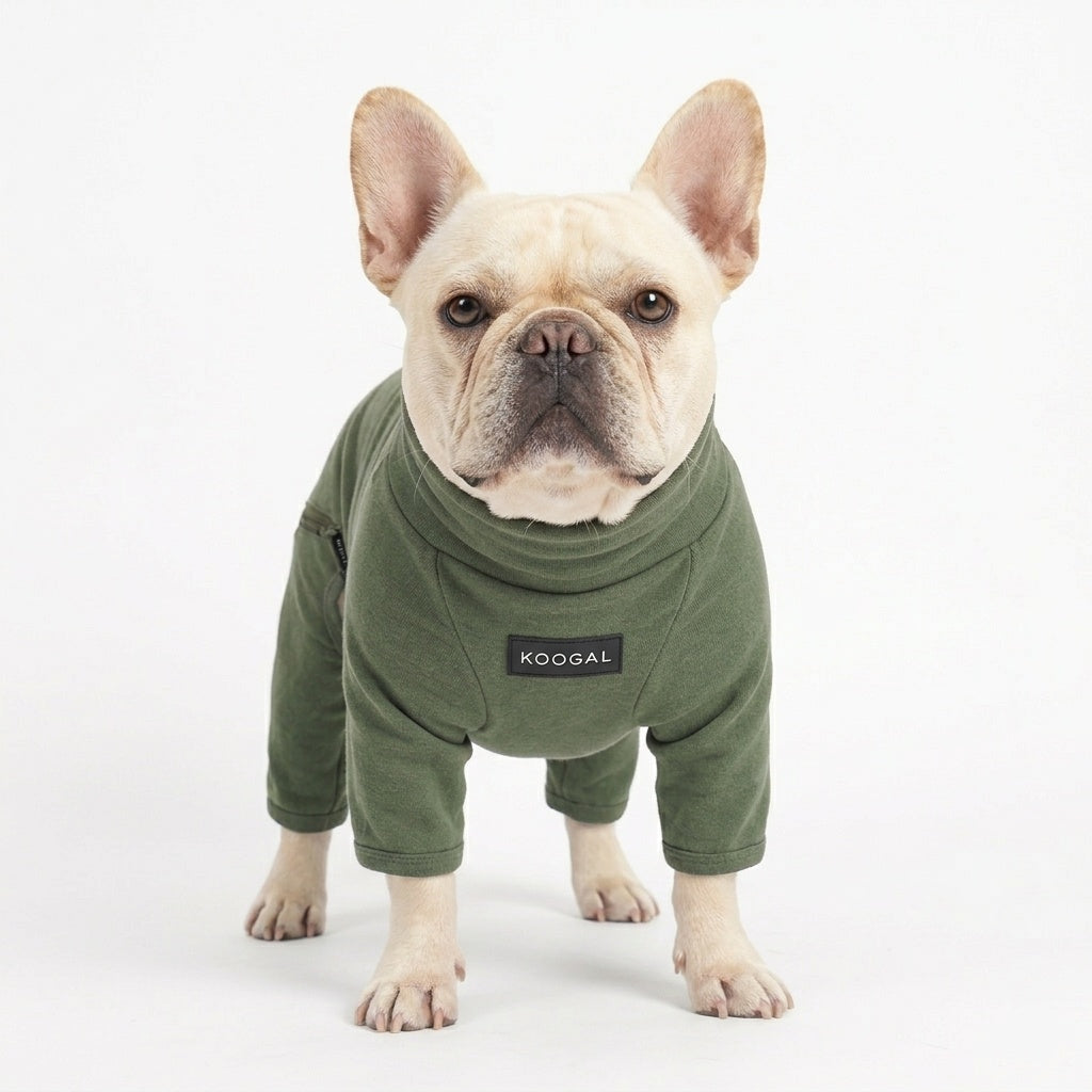 French Bulldog Fleece Winter Jumpsuit - Forest Green