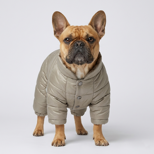French Bulldog Winter High-Neck Waterproof Puffer Jacket, 100% Natural Cotton-Padded Coat